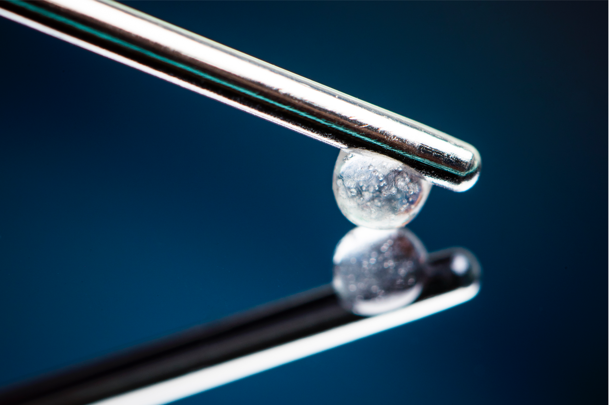 AdiPearl product syringe and packaging