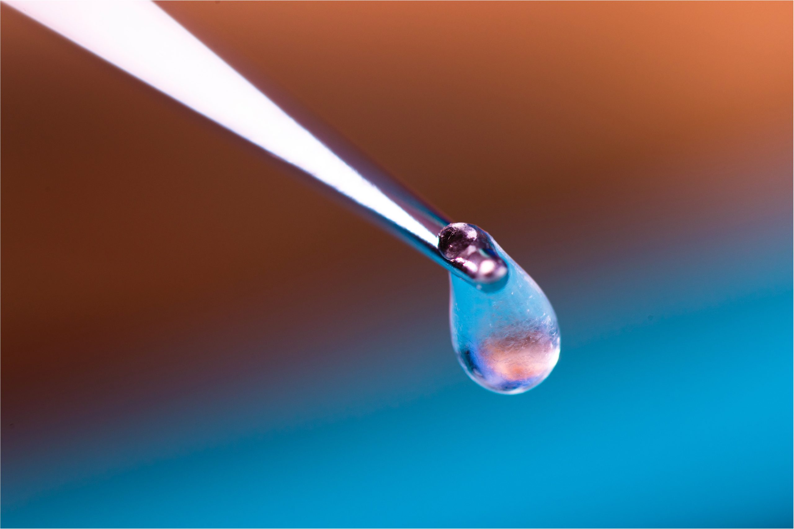 Medical professionals collaborating