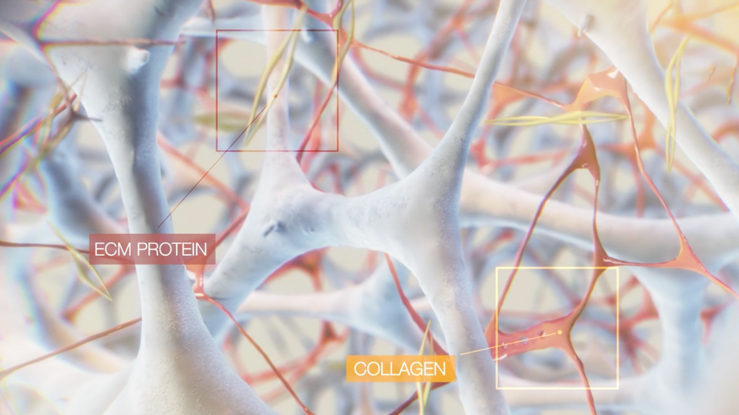Early Matrix Formation